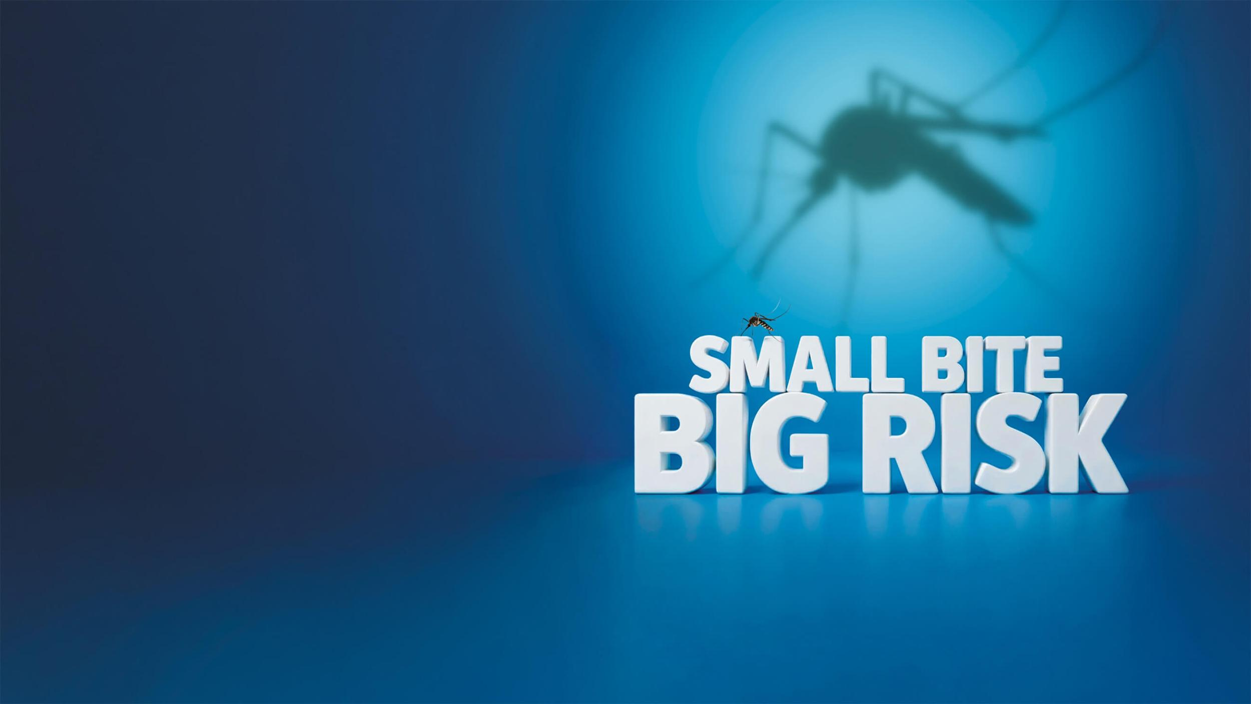 Mosquito Small Bite, Big Risk