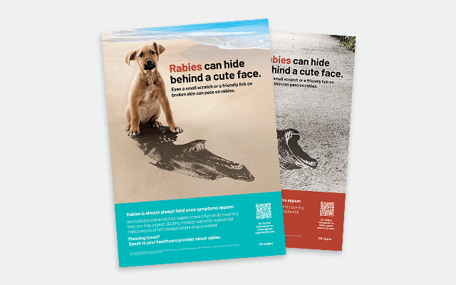 Rabies A3 poster