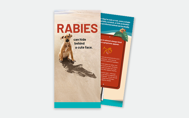 Rabies patient disease awareness