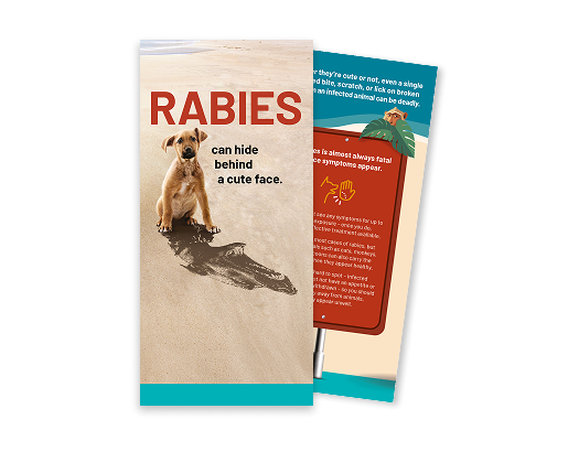 Rabies patient brochure
